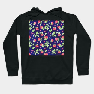 Berry evening Hoodie